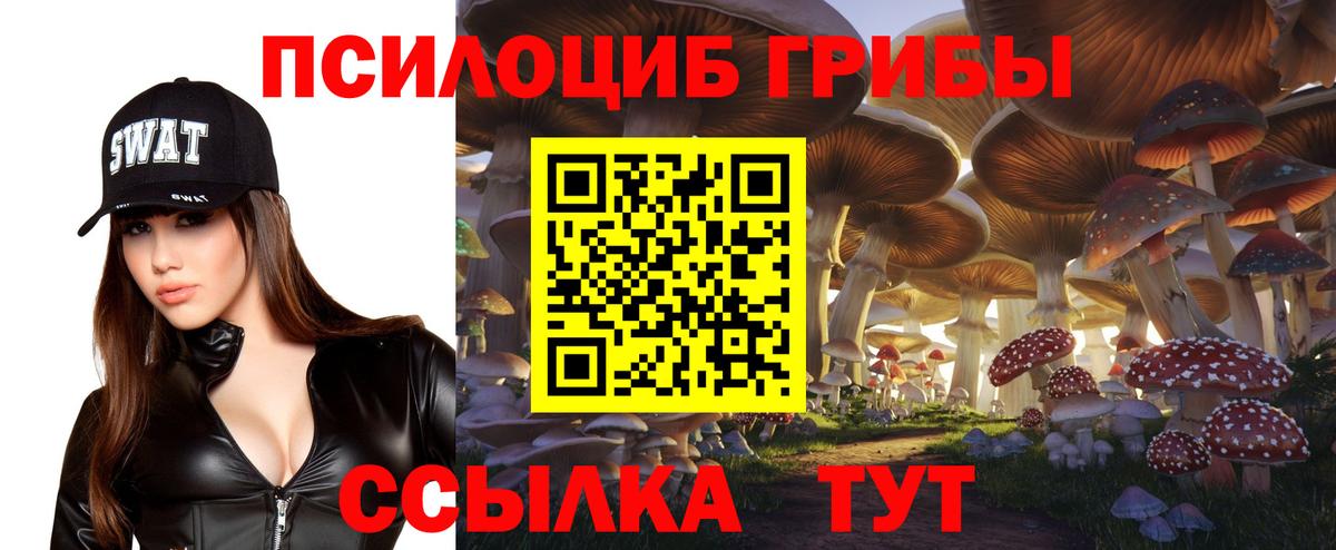 Псилоцибиновые грибы Psilocybe  Вход с VPN  Псилоцибиновые грибы мицелий  Томск 
